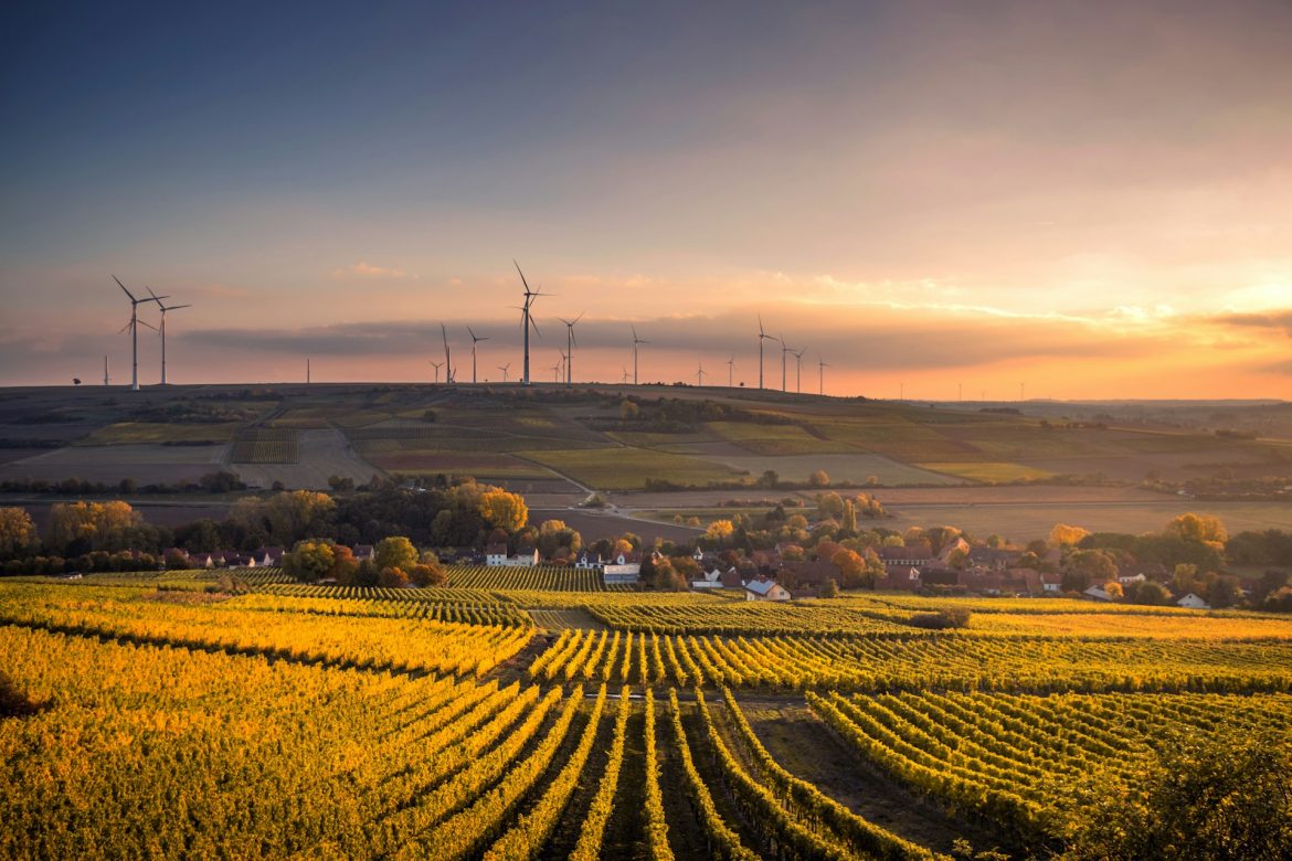 La Révolution de la Ferme à la Finance : Comment l’IA Transforme l’Agriculture